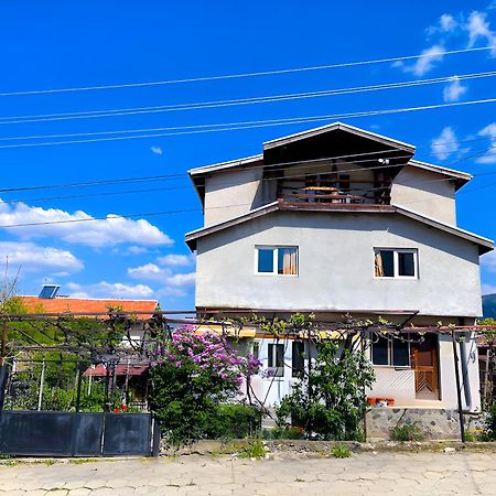 Alpin Guest House Sapareva Banja Exteriér fotografie